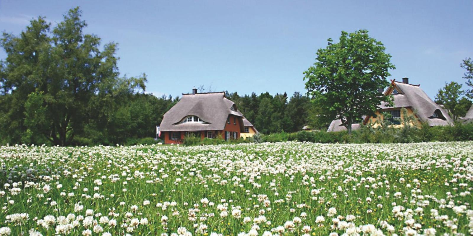 Ferienhäuser Fischland Dierhagen Exterior foto